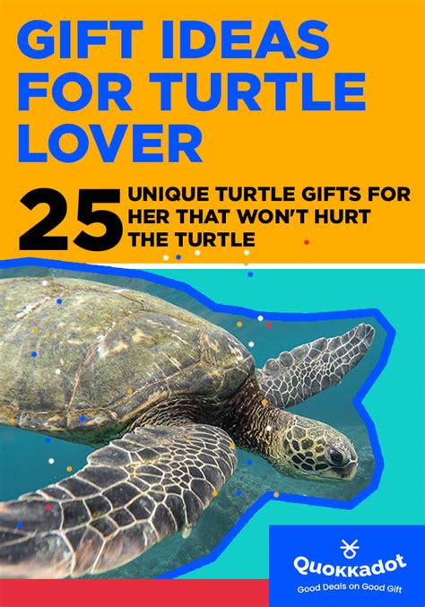 turtle gifts for her